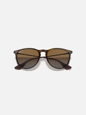 Ray-Ban Erika Polarized Sunglasses